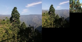 Homestay - Titung Orange Grove Homestay