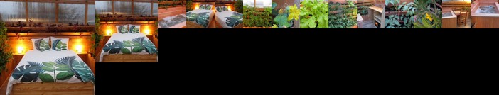 La serre des brasseurs et son jacuzzi