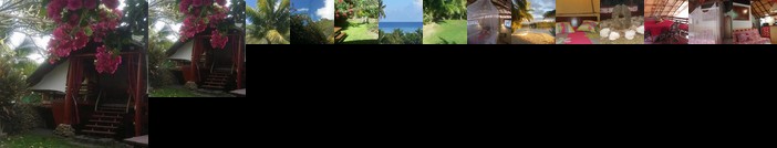 La Pirogue chez l'Happy qui chante