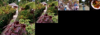 Tanna White Beach Bungalow