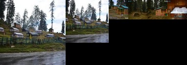 Nature camp narkanda