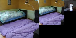 Homestay - Experienced Hosts