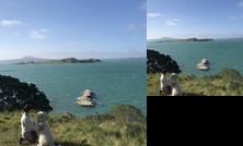 Homestay - 2 rooms in Sunnyhills Females only