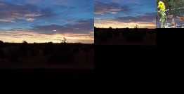 Homestay - Room to romp n relax