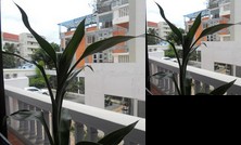 Homestay - New Home Hostel