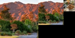 Homestay - Host Family with Psychology