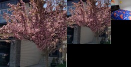 Homestay - Bedroom available Calgary