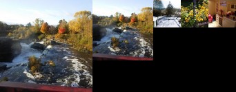 Homestay - Homestay with an ESL teacher