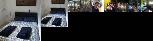 Homestay - Room in house with doggie