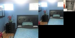 Homestay - Enjoy the nature Ottawa