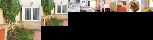 Homestay - Room with beautiful energy