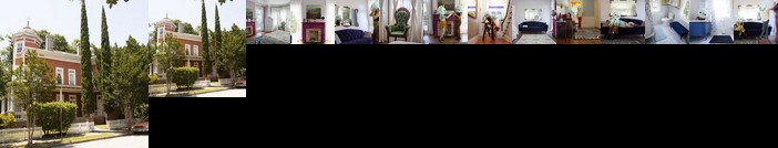 Homestay - The Grand Lavender