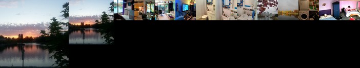 Homestay - Waterview Room & Basement room