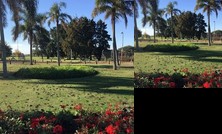 Homestay - The Orchides