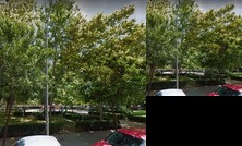 Homestay - Bright big and quiet