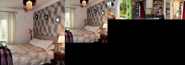 Homestay - Irish Hospitality at its best