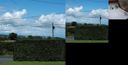 Homestay - Double room available