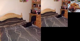 Homestay - Entre el campo y la ciudad