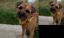 Homestay - Easy access to hospital and station