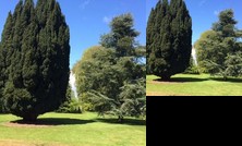 Homestay - Bedrooms in Georgian Country Manor