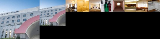 Skyhotel Uozu / Vacation Stay 59594
