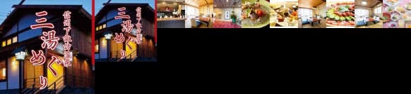 Shinshu Shimosuwa GinGetsu / Vacation STAY 28790