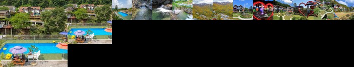 Love and story pension